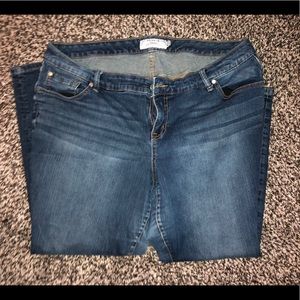 Torrid Barely Boot Jean